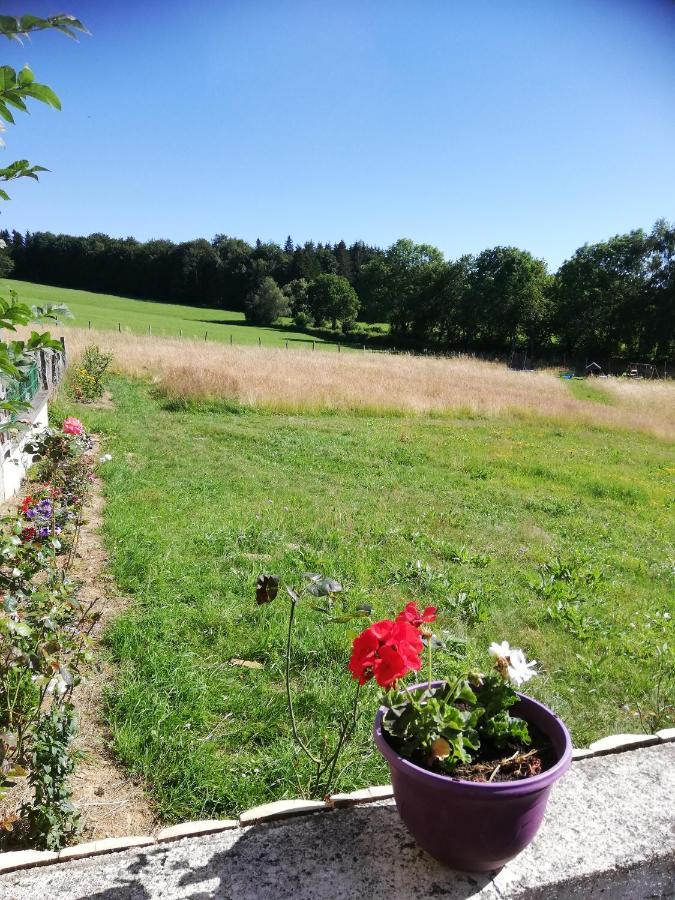 gite les chaumeix Prondines Exterior foto