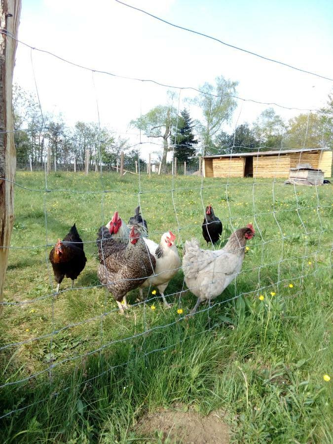 gite les chaumeix Prondines Exterior foto